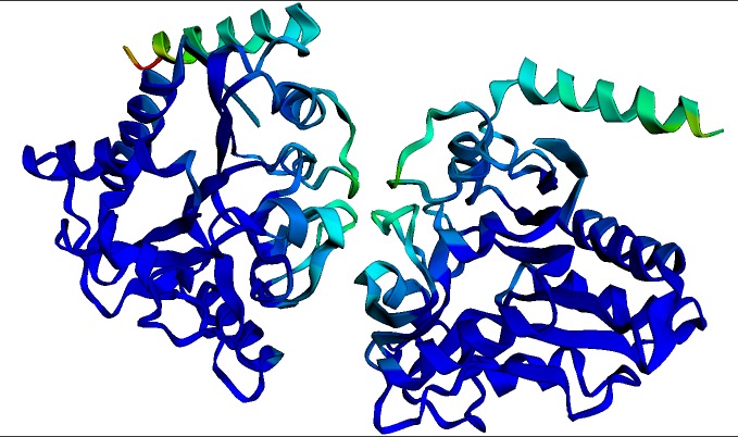 蛋白质折叠示例